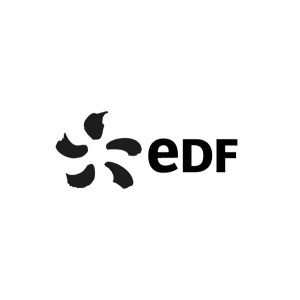 logo client edf micropole