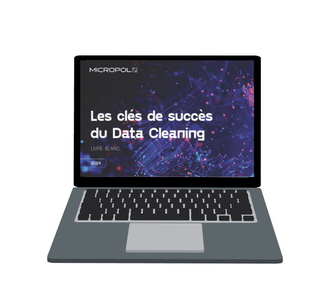 Livre blanc data cleaning